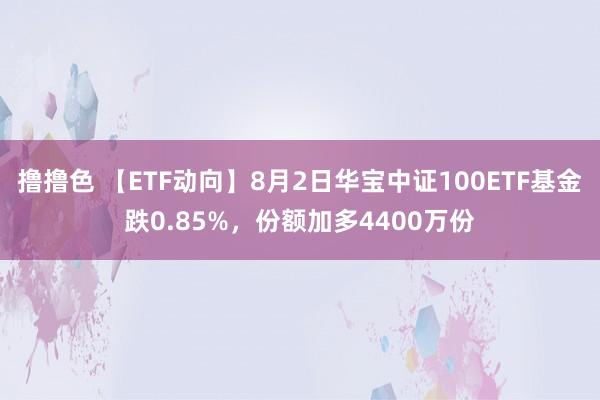 撸撸色 【ETF动向】8月2日华宝中证100ETF基金跌0.85%，份额加多4400万份