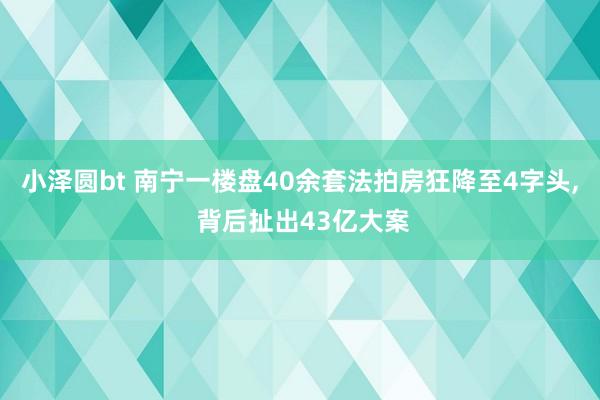 小泽圆bt 南宁一楼盘40余套法拍房狂降至4字头, 背后扯出43亿大案