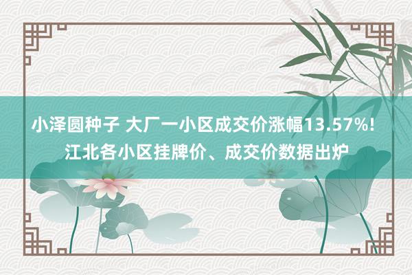 小泽圆种子 大厂一小区成交价涨幅13.57%! 江北各小区挂牌价、成交价数据出炉