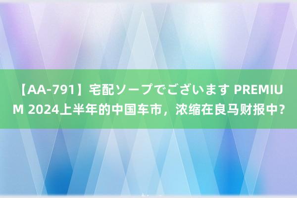 【AA-791】宅配ソープでございます PREMIUM 2024上半年的中国车市，浓缩在良马财报中？