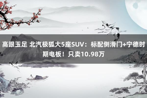 高跟玉足 北汽极狐大5座SUV：标配侧滑门+宁德时期电板！只卖10.98万