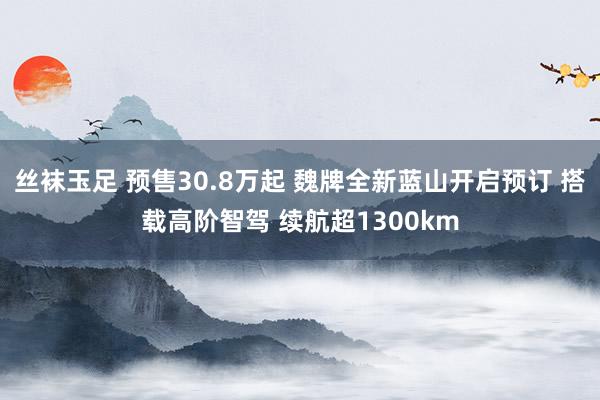 丝袜玉足 预售30.8万起 魏牌全新蓝山开启预订 搭载高阶智驾 续航超1300km