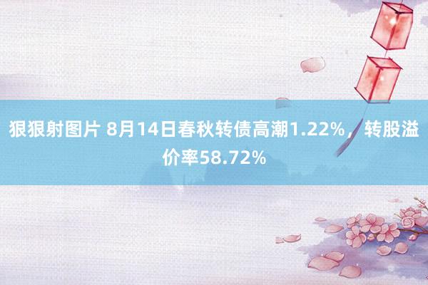 狠狠射图片 8月14日春秋转债高潮1.22%，转股溢价率58.72%