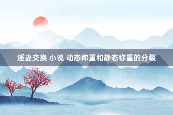 淫妻交换 小说 动态称重和静态称重的分裂