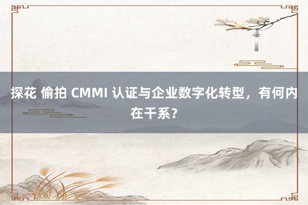 探花 偷拍 CMMI 认证与企业数字化转型，有何内在干系？