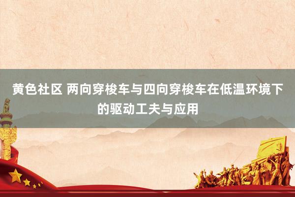 黄色社区 两向穿梭车与四向穿梭车在低温环境下的驱动工夫与应用