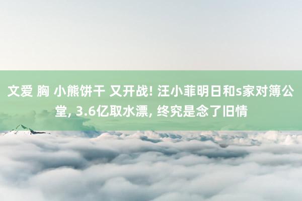 文爱 胸 小熊饼干 又开战! 汪小菲明日和s家对簿公堂, 3.6亿取水漂, 终究是念了旧情
