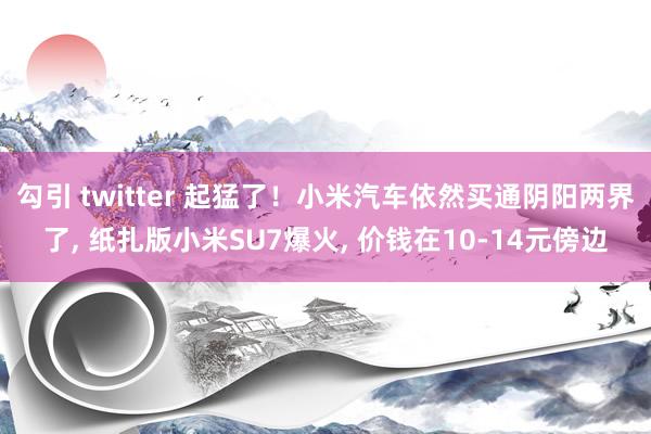 勾引 twitter 起猛了！小米汽车依然买通阴阳两界了, 纸扎版小米SU7爆火, 价钱在10-14元傍边