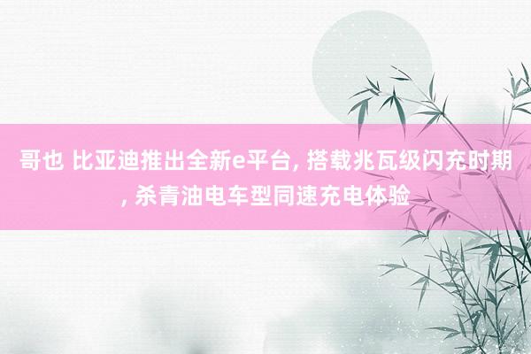 哥也 比亚迪推出全新e平台, 搭载兆瓦级闪充时期, 杀青油电车型同速充电体验