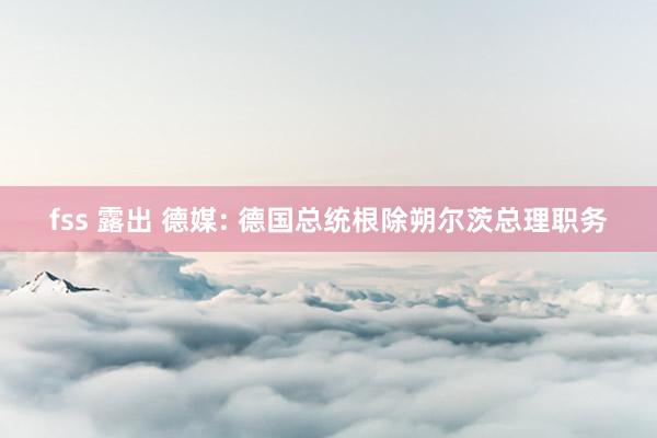 fss 露出 德媒: 德国总统根除朔尔茨总理职务