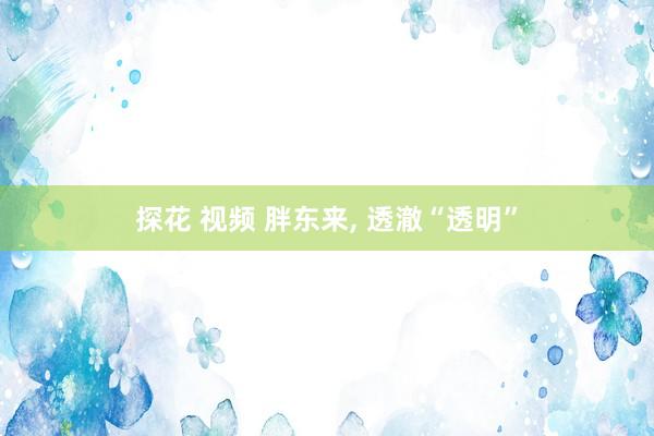 探花 视频 胖东来, 透澈“透明”