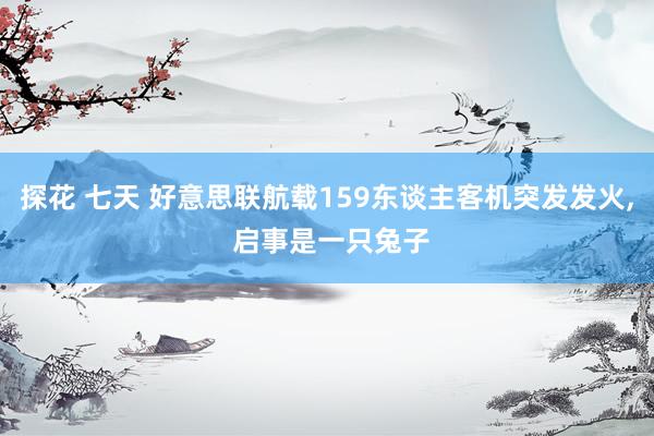 探花 七天 好意思联航载159东谈主客机突发发火, 启事是一只兔子