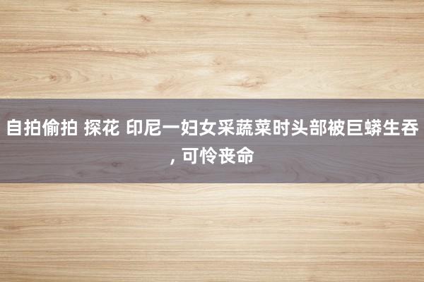 自拍偷拍 探花 印尼一妇女采蔬菜时头部被巨蟒生吞, 可怜丧命