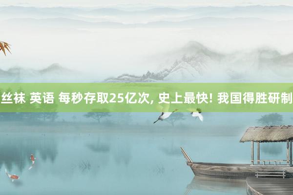丝袜 英语 每秒存取25亿次, 史上最快! 我国得胜研制