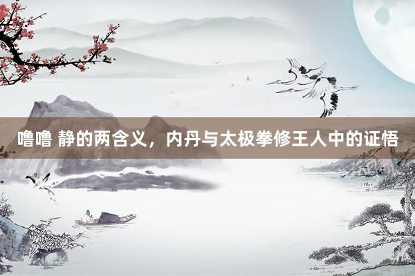 噜噜 静的两含义，内丹与太极拳修王人中的证悟