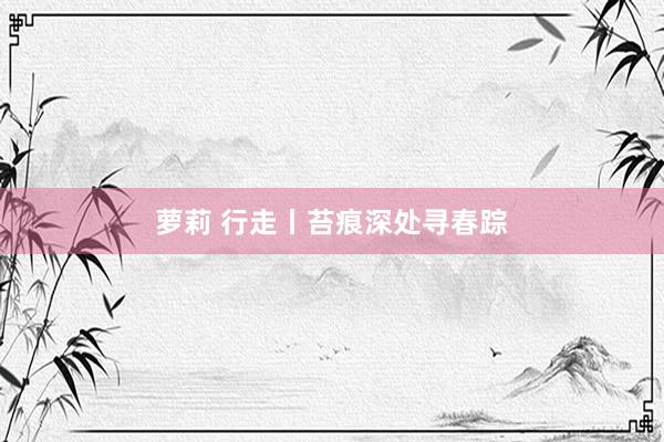 萝莉 行走丨苔痕深处寻春踪