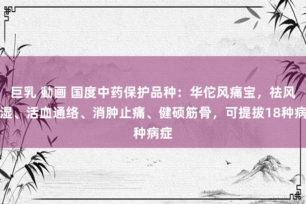 巨乳 動画 国度中药保护品种：华佗风痛宝，祛风祛湿、活血通络、消肿止痛、健硕筋骨，可提拔18种病症
