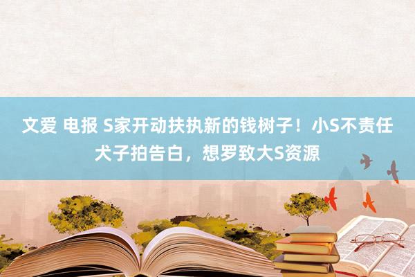 文爱 电报 S家开动扶执新的钱树子！小S不责任犬子拍告白，想罗致大S资源