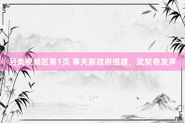 另类视频区第1页 事关新政府组建，武契奇发声